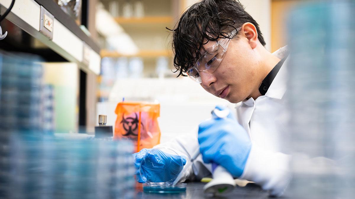 Scientist wearing lab coat, blue rubber gloves and safety goggles drips liquid from a pipette into a petri dish.